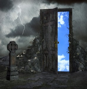 Storm Door
