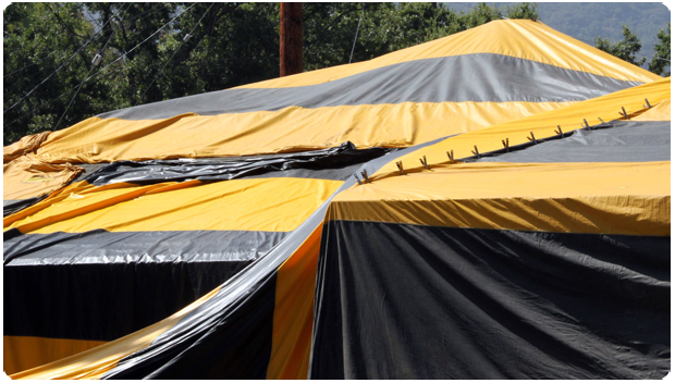 Termite Tent
